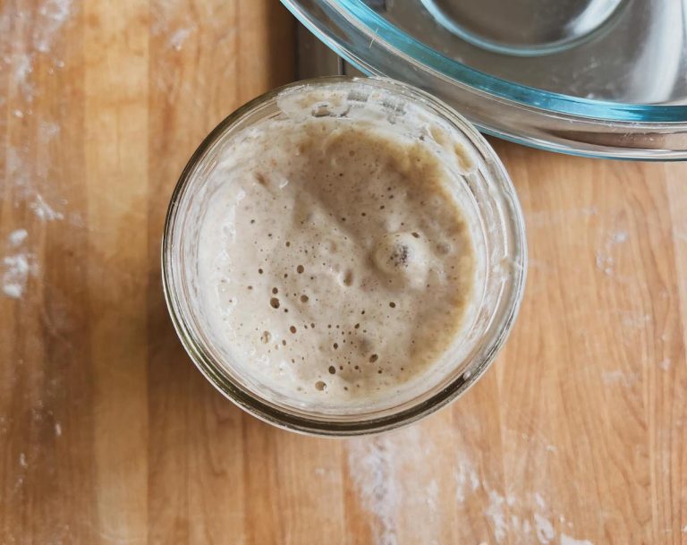 sourdough starter bubbling in a glass jar