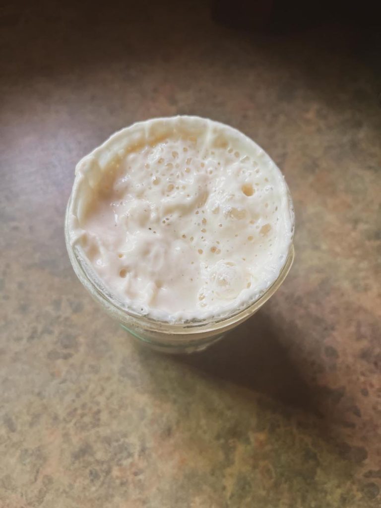 sourdough starter bubbling on a counter top